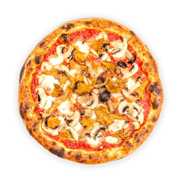 pizza sottobosco